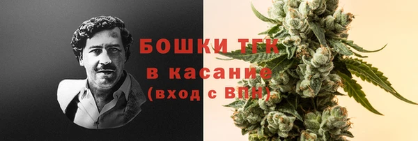 прущие грибы Алексеевка