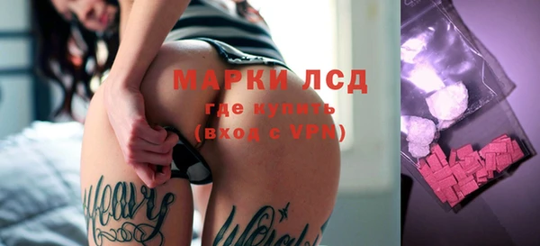 прущие грибы Алексеевка