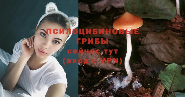 прущие грибы Алексеевка