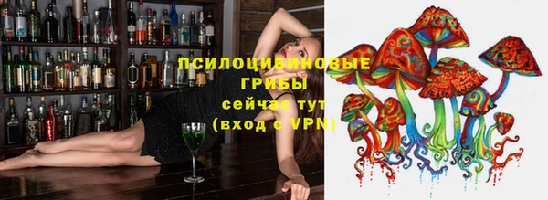 прущая мука Алзамай