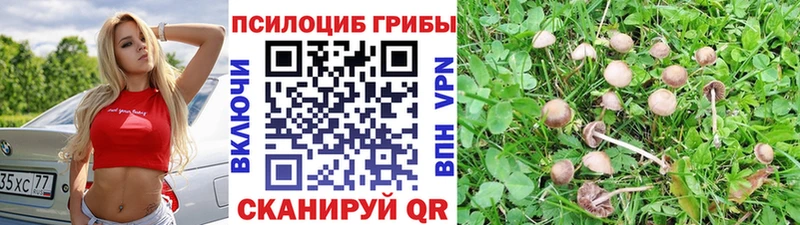 Галлюциногенные грибы GOLDEN TEACHER наркотики Карабаш